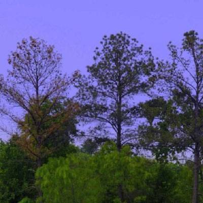 开元体育·登录入口