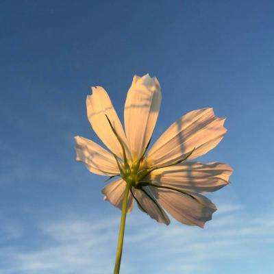 BOB体育综合入口app下载