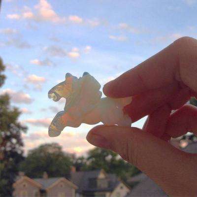 博鱼综合体育APP