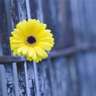 365体育官方唯一入口