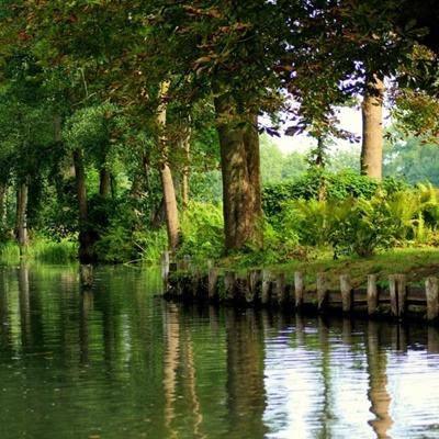 开云·全站app(kaiyun)