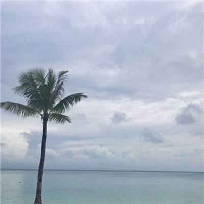 半岛·综合体育中国