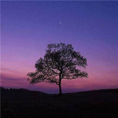 星力正版捕鱼手机app下载