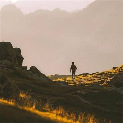 牛牛游戏网下载手机版