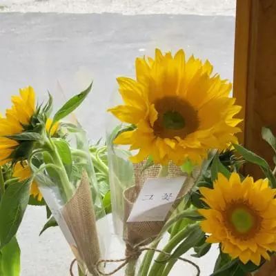 亚博棋牌app下载