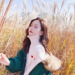 星空下载站官网手机app下载